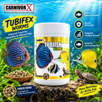 CARNIVORX Freeze-Dried Tubifex Worms (5 Gms)